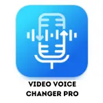 video changer